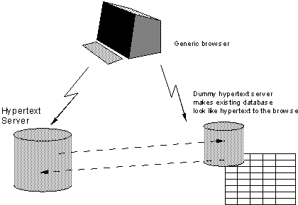 path between the database, the server and the browser