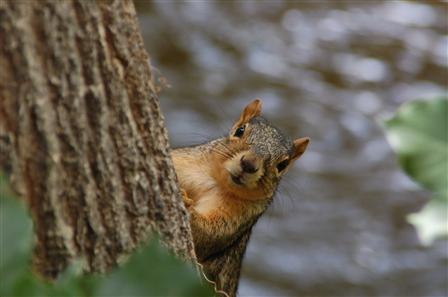 One of the friendly faces of Boulder