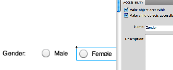 Using the Accessibility panel to add a group name to a form control